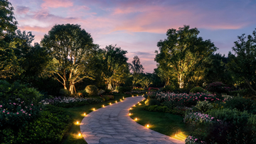 Top Outdoor Lighting Ideas to Transform Your Garden
