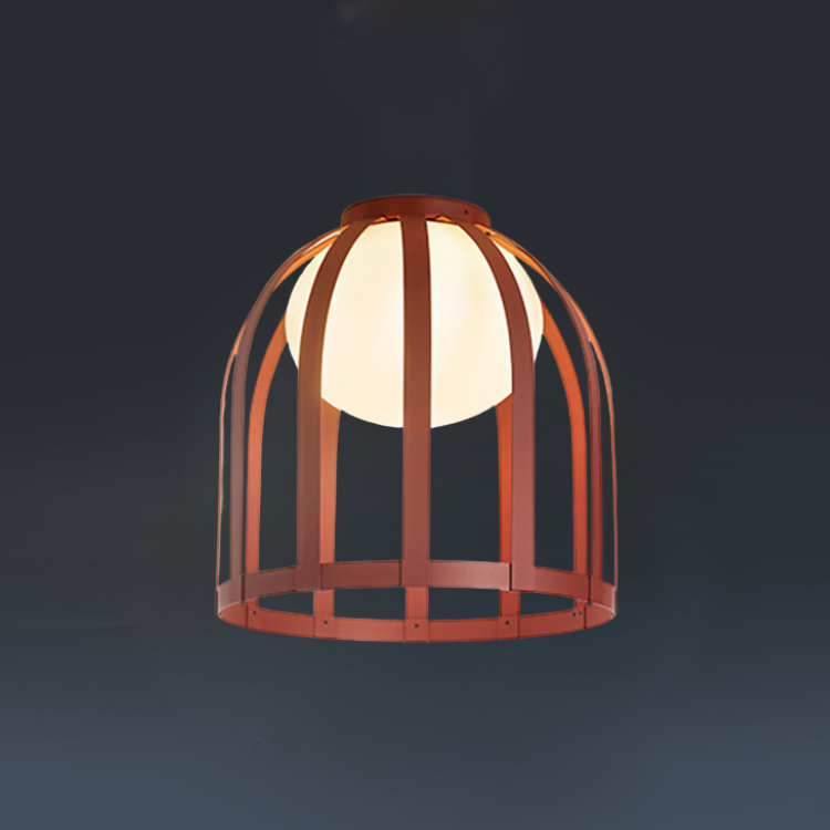 Outdoor Ceiling Light